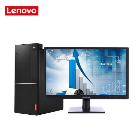 大鸟插逼联想（Lenovo）扬天M6201C 商用台式机(I3-6100 4G 1T  DVD  2G独显  21寸)